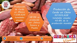 Producción y cobertura de precios en la porcicultura mexicana