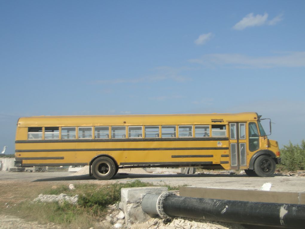 Album - Cuba le Transports