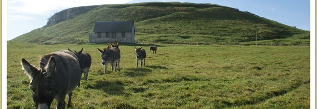 Le cantal en vidéo