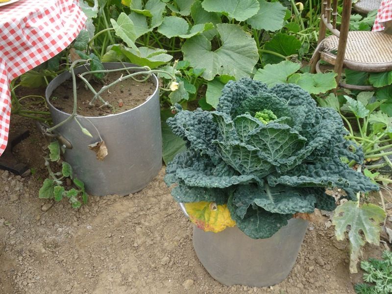 LE JARDIN ÉPHÉMÈRE... DES 7 PÉCHÉS CAPITAUX ...LA GOURMANDISE...