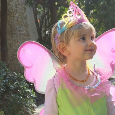 Le carnaval de bassan.