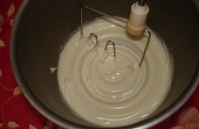 Chantilly capillaire fondante ( soin avant-shampoing )