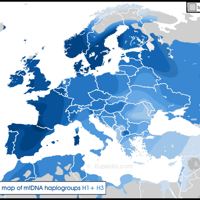 L'Haplogroupe Mitochondrial H, un Haplogroupe Européen, Mégalithique et... Royal !