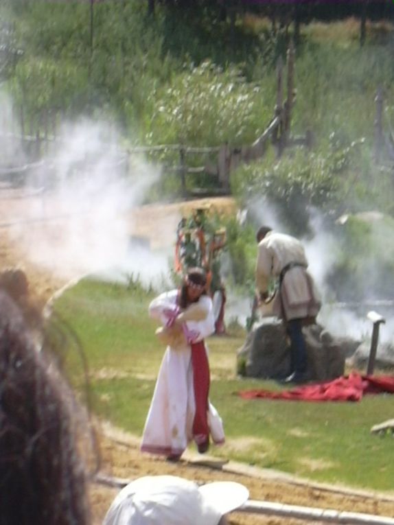 photos du puy du fou, le bal des oiseaux fantômes, mousquetaire du richelieu, vikings et le fort de lan mil, la cité médievale, la vallée fleurie...