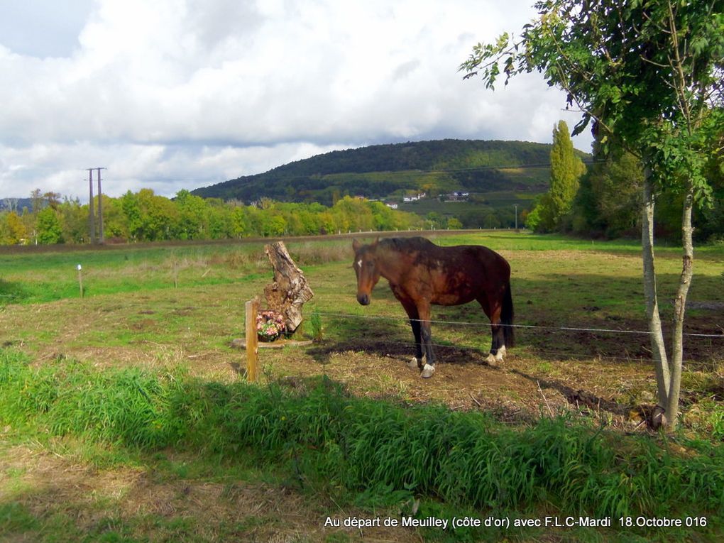 Les Côteaux de Chaux (Côte d'Or)