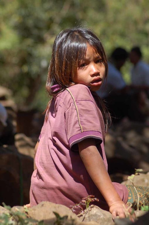 Album - CAMBODGE-2009