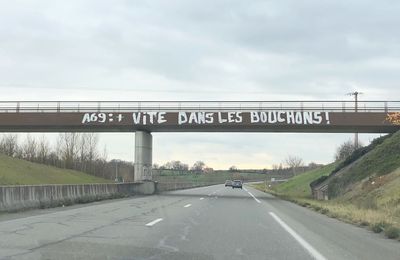 A69 Toulouse-Castres : en solidarité, le mathématicien et ex-député Cédric Villani grimpe dans l'arbre où Thomas Brail est en grève de la faim