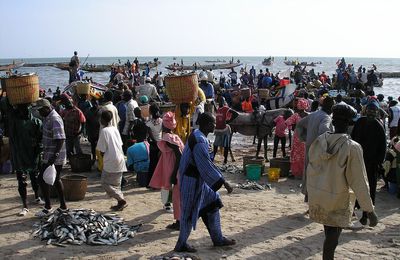Dossier Sénégal : L’industrie de la pêche au Sénégal