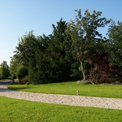 Guide d'aménagement pour les allées de jardins