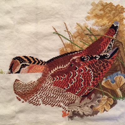 TTT Bécasse #novembre