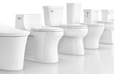 Toilet Purchase Guide