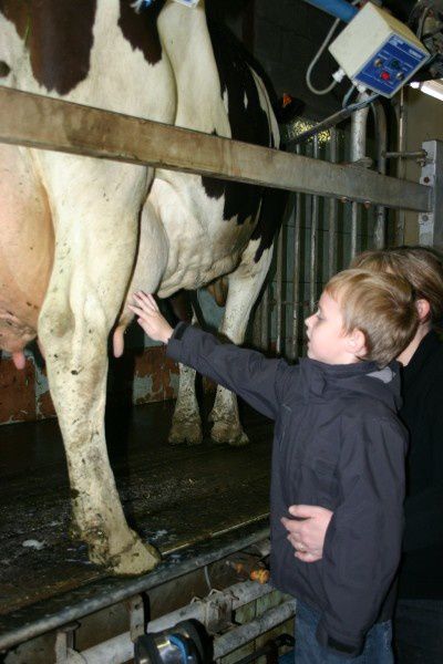 Album - visite à la ferme