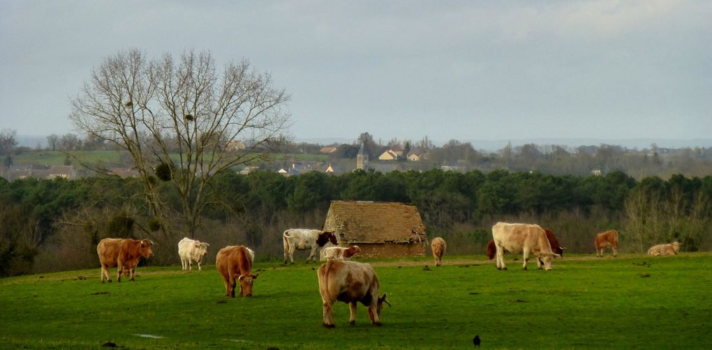 Album - bords-de-Sarthe