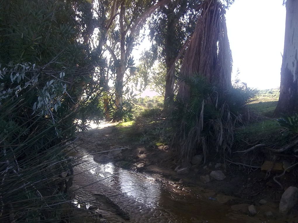 ville en Algerie commune de la daira de Machraa sfa wilaya de de Tiaret ou se trouve la mosqué de iben khaldoune et bien d'autres choses.