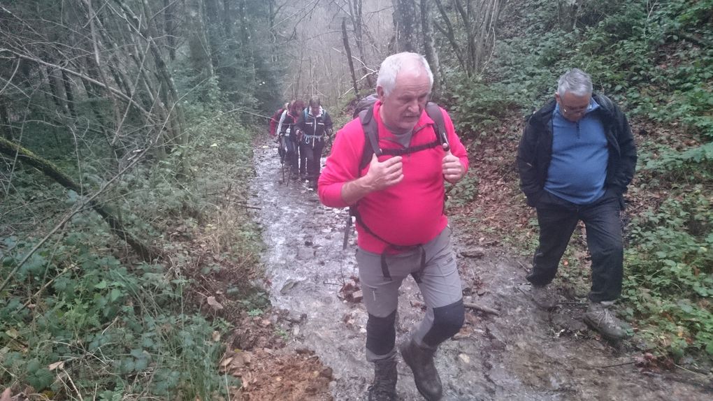 JEUDI 24 NOVEMBRE ; BALISAGE DE NOTRE MARCHE