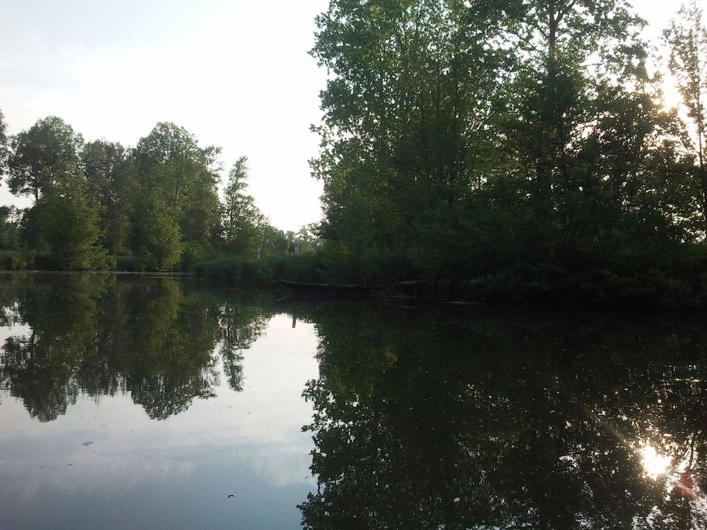 Album - Marais-Poitevin