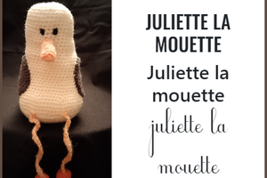 La mouette dans le grand bain