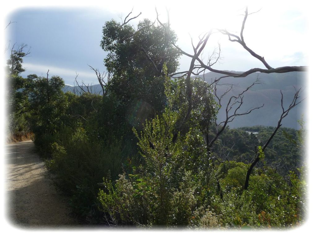 Album - Wilsons-Promontory