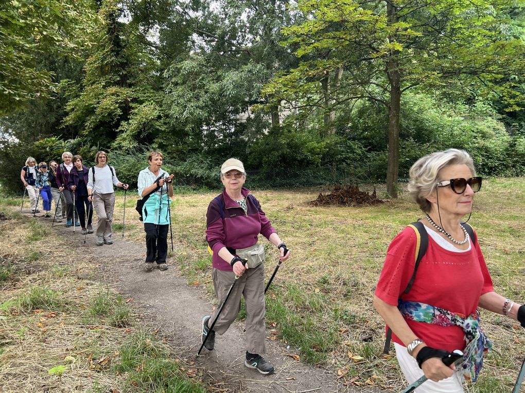 Marche nordique au bois de Vincennes.