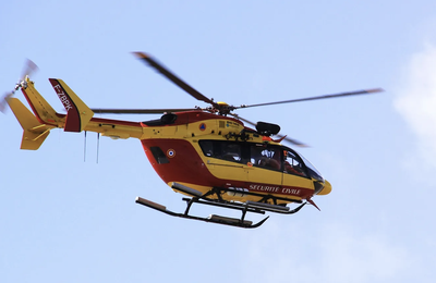 Pyrénées : mordu par un chien, un randonneur secouru par le PGHM