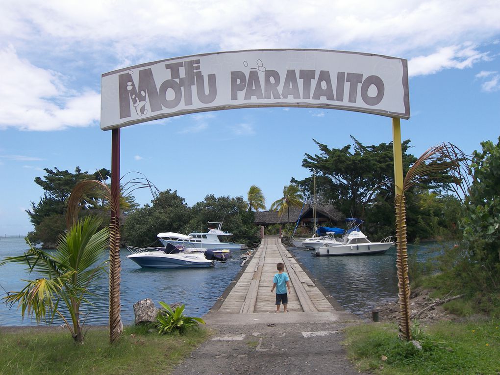 Album - Motu-parataito