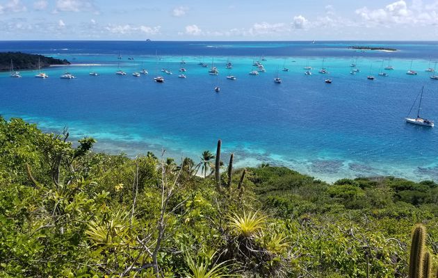 Retour en Martinique et navigation jusqu'au Tobago Cays