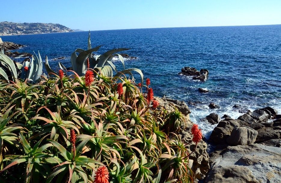 BORDIGHERA INSTANT MAGIQUE… (3)
