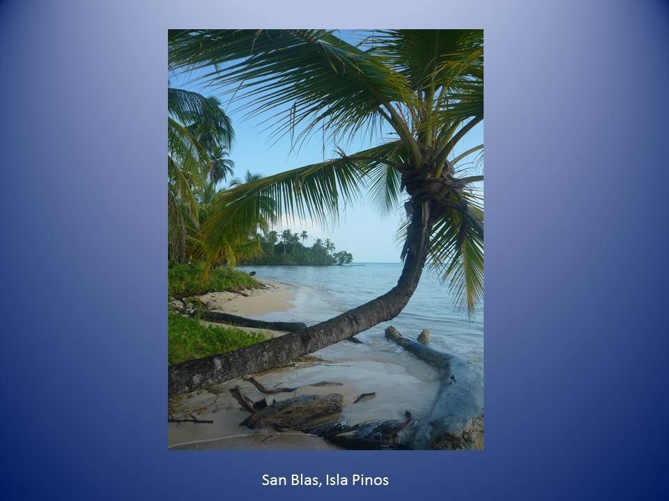 Cahier de bord : San Blas N°2 : Isla Pinos ou Tupbak