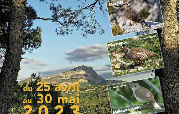 Expo photo Les Ailes de Provence