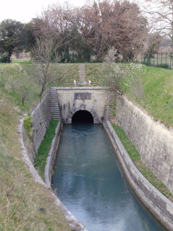 14/03/2009 - Canal de Marseille (Bocuhes-du-Rhône)