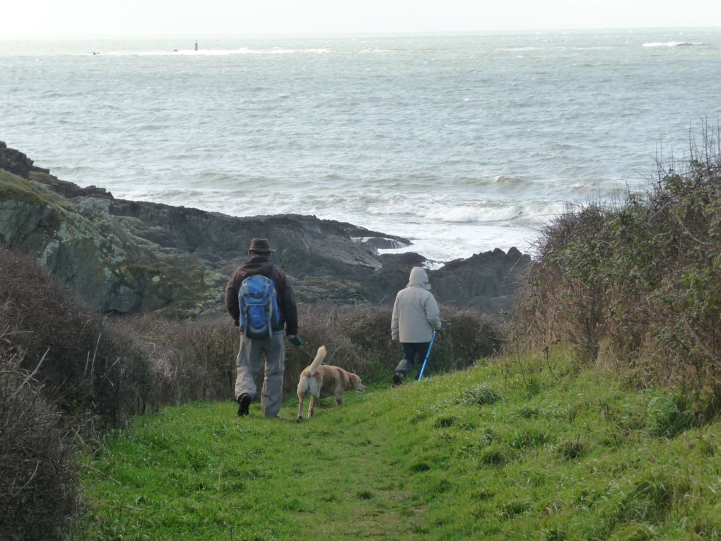 Mes balades en Bretagne.
Novembre 2012.