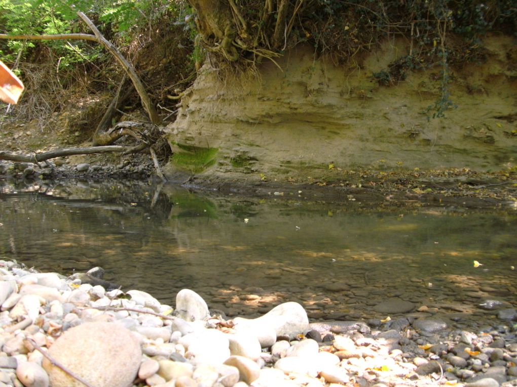 Photos de la campagne de Crepol