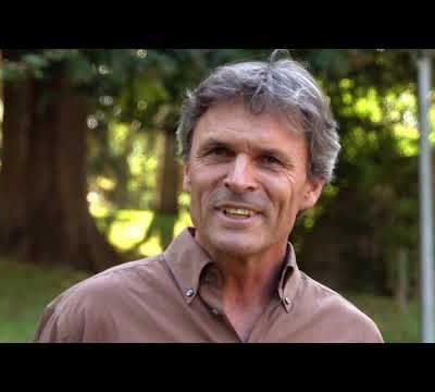 Vers l'eurythmie thérapeutique ? Une profession...