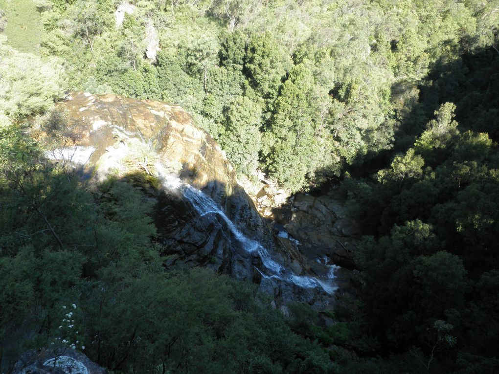 Par National des Blues Mountains, Katoomba (près de Sydney)