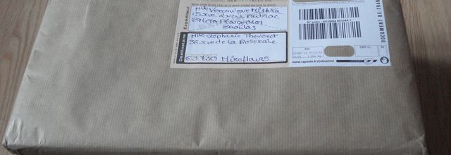 ¤ Swap de Noël ♥ ¤