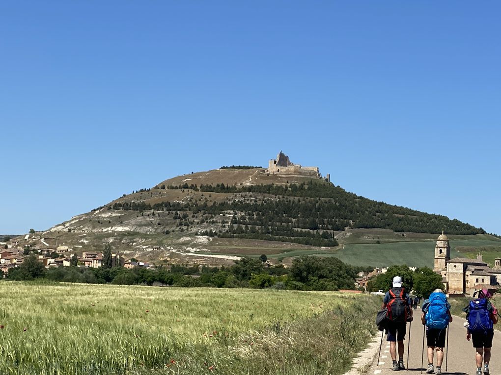 Étape 6 : Hornillos del Camino - Castrojeriz 