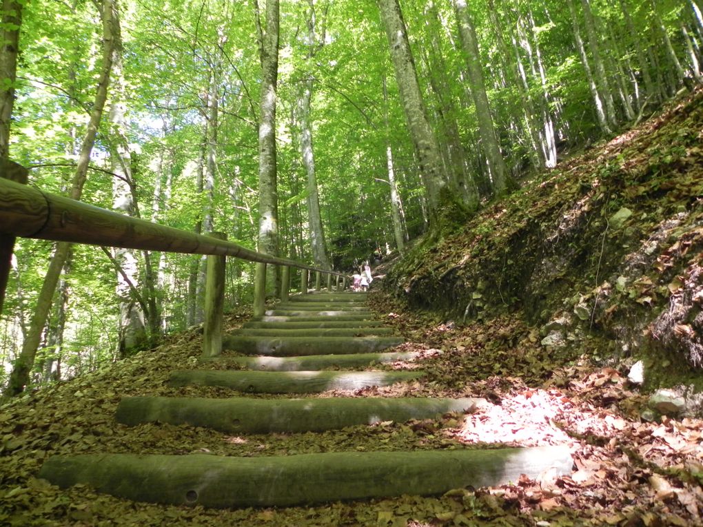 Album - L'intégrale des cascades du Hérisson