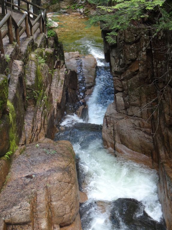 White mountains National Forest, NH