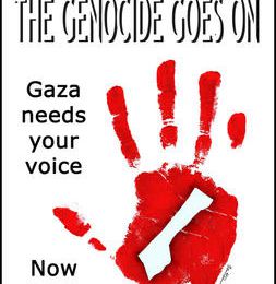 URGENCE GAZA !