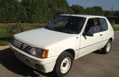 205 d style rallye