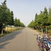 Chongming island : journee velo VIE