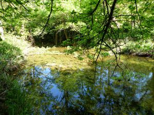 Boucle du Nitable Roc 5 Mai 2018