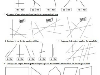 Evaluation droites perpendiculaires et parallèles CM1 - 2016