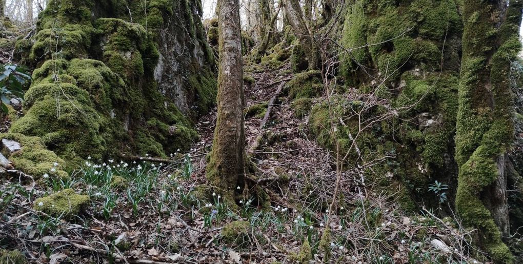 Arrivée du printemps