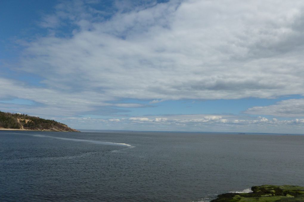 Album - De-Tadoussac-.en-Gaspesie--