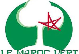 Le Plan Maroc Vert : la nouvelle stratégie agricole au Maroc