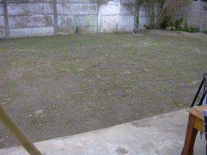 Silence, ça pousse !