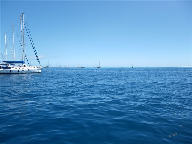 Un dimanche ensoleillé passé en compagnie de Fabien, Sophie, Linda, Stéphane et Salma ... à la rencontre des baleines.