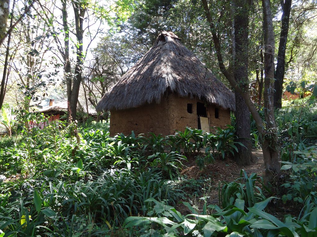 la boutique des copains, l hotel et museo Na Bolom des indiens Lacandon et centro/museo de medecine Maya