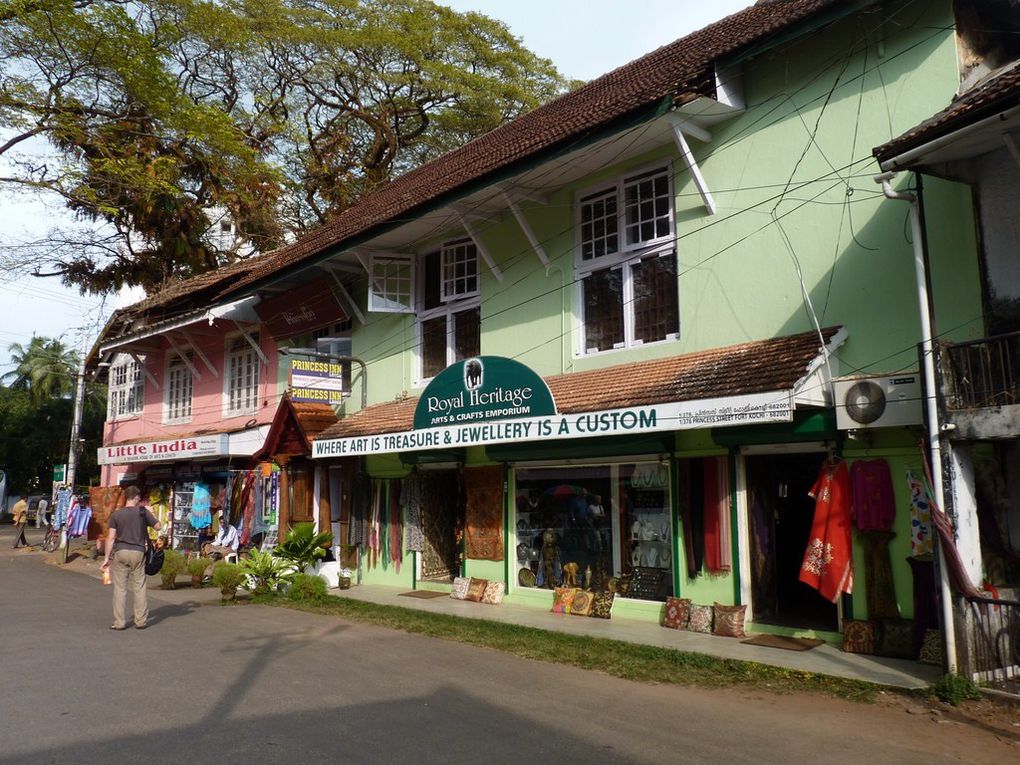 Album - INDIA - Fort Cochin - Alleypey